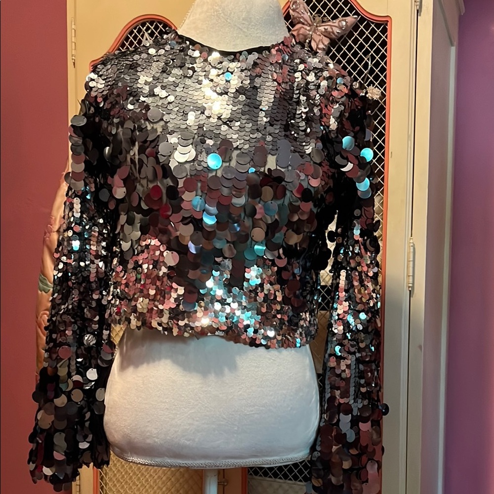 Zara Silver Sequin Long Sleeve Crop Top